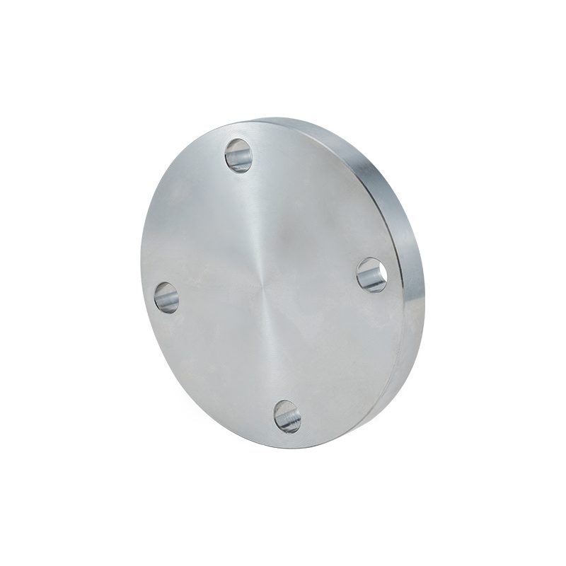 Bride commune en acier inoxydable forgé série 304